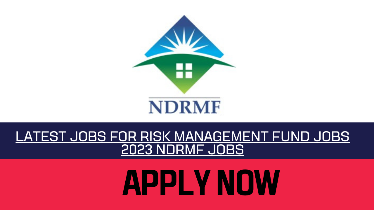 Risk Management Fund Jobs 2023