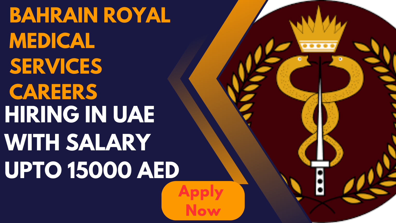 Bahrain Royal Medical Services Careers2